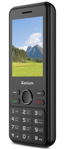 Сотовый телефон Xenium X280 Black фото 2
